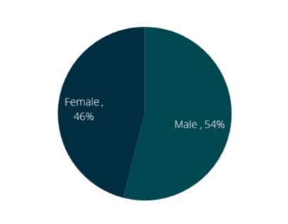 Gender breakdown